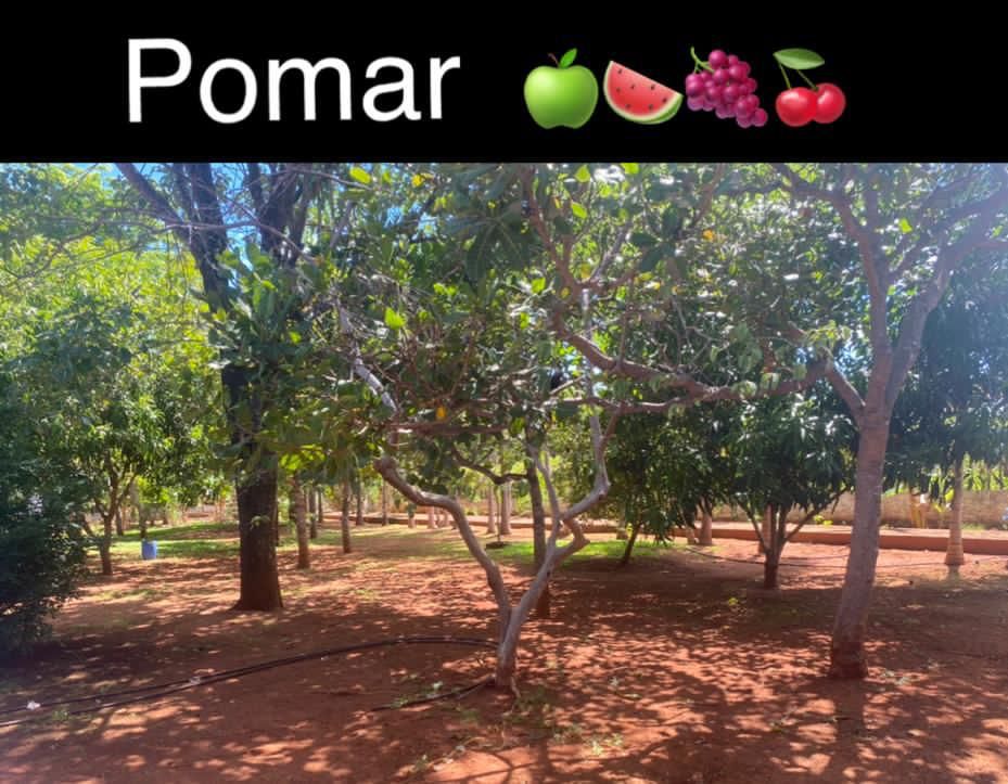 Pomar